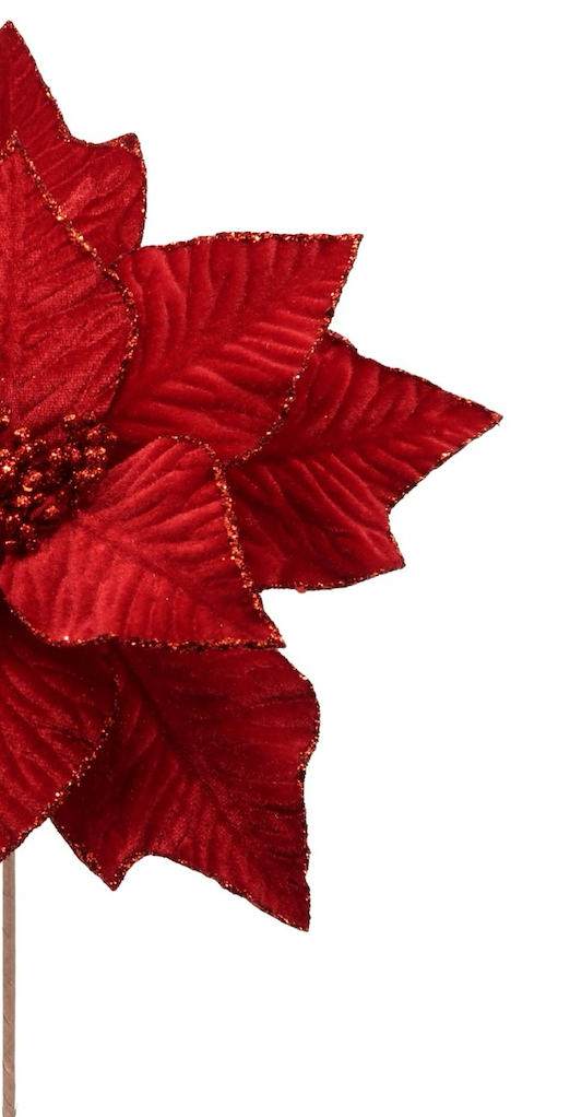 Christmas Flowers & foliage